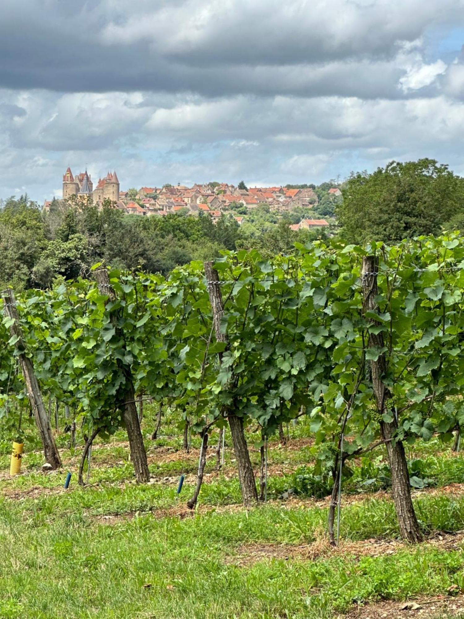 Chateauneuf Suites Extérieur photo